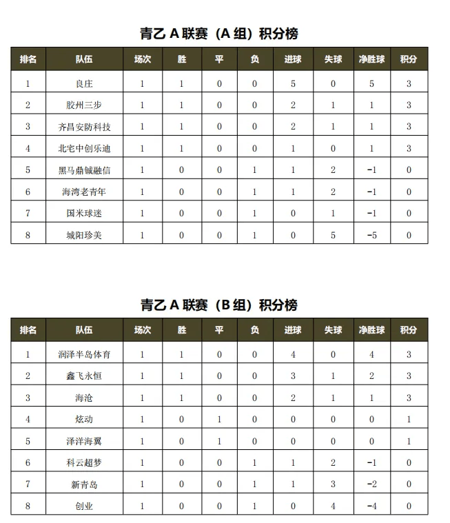 天津队不敌青岛，积分榜下滑的简单介绍
