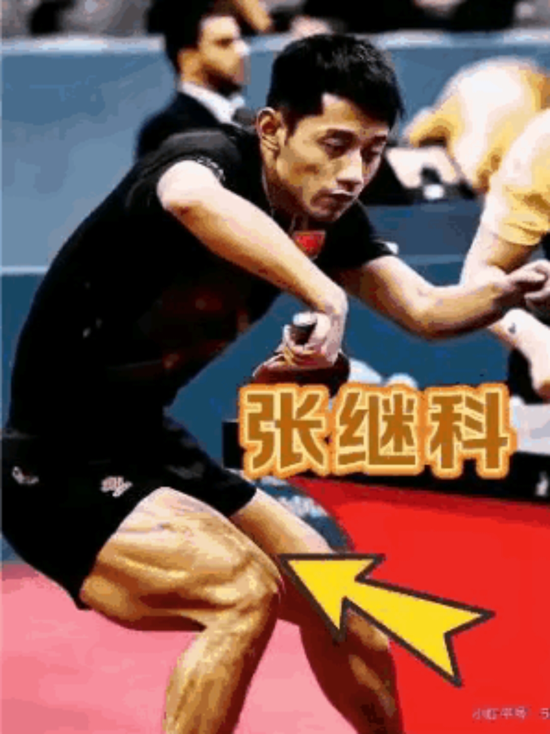 韩国乒乓球队完胜波兰乒乓球队,张继科爆发神勇的简单介绍 韩国乒乓球队完胜波兰乒乓球队,张继科爆发神勇的简单介绍