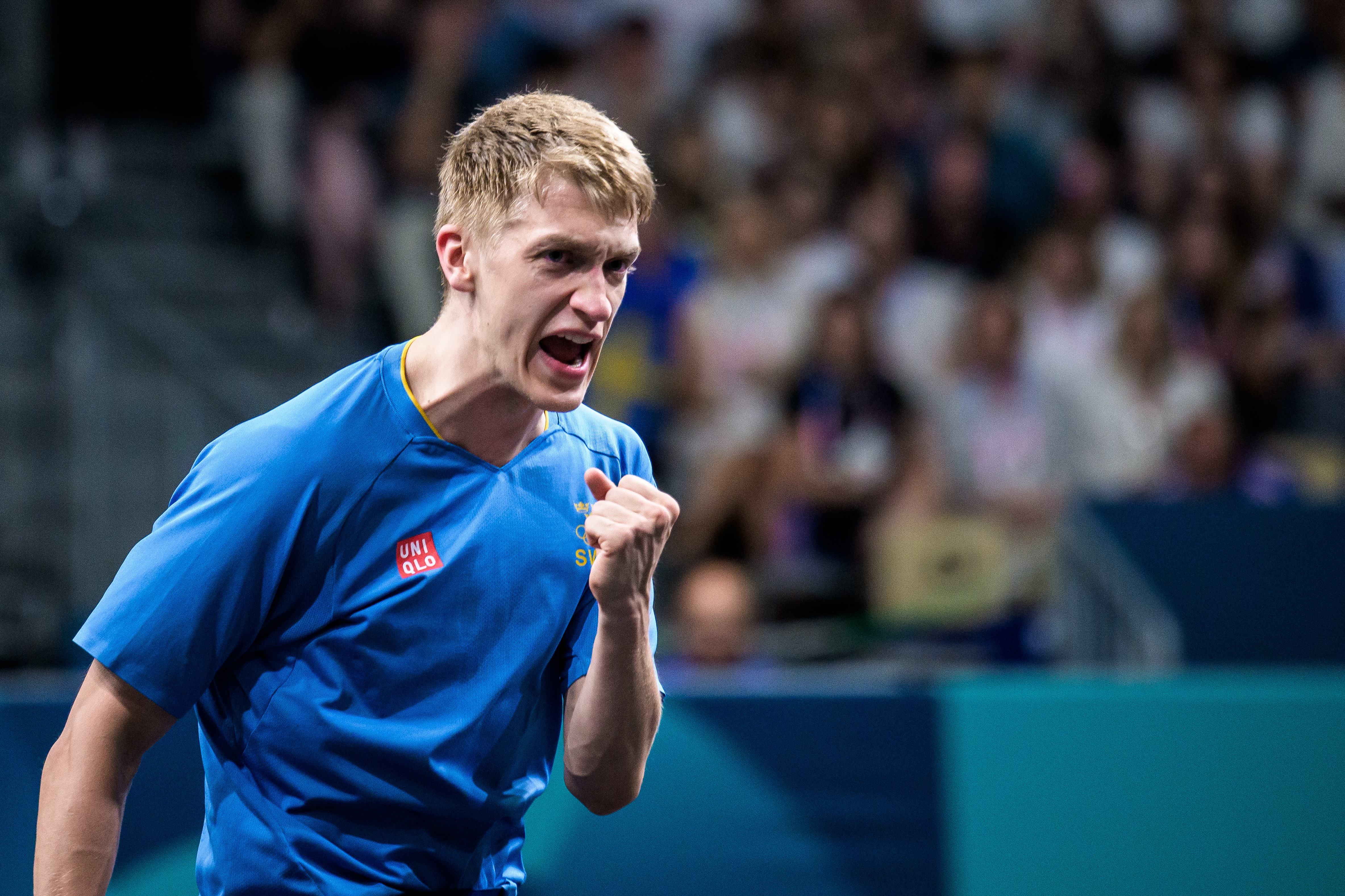 瑞典乒乓球队绝杀法国乒乓球队,张本智和爆发神勇的简单介绍 瑞典乒乓球队绝杀法国乒乓球队,张本智和爆发神勇的简单介绍